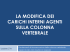 Diapositiva 1