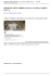 Scarica come PDF