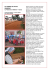 Versione scaricabile in PDF