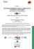 Il programma provvisorio