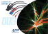 Global Power Solutions - ITC Srl Industrial Technology Center