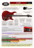 AT-200 Auto-Tune Guitar