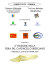 PROGRAMMA 2° EDIZIONE FIERA DEL CASONCELLO