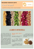 ALIMENTI INTEGRALI Alimenti integrali