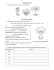 Verifica sulle piante • Completa con : albero – arbusto – pianta