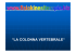 la colonna vertebrale