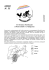 Scarica il PDF - Trentino Arcobaleno