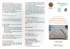CreSCere inSieme in CardiOlOgia PediatriCa