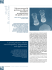 Nanocompositi polimero-silicati lamellari