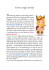 Le prime pagine del libro