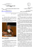 in_missione_con_noi_57