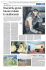 Scarica l`articolo in pdf