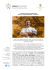LA CUCINA AD ARTE DI CLAUDIO SORDI, EXECUTIVE CHEF DEL