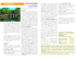 Amsterdam pdf