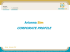 Presentazione standard di PowerPoint