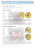 Emissioni numismatiche Vaticano 2014