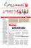 visualizza pdf