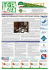 TGLAB MAG XIII SPECIALE CONTRATTO TERZIARIO 01