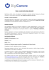 Stage – Junior Grafic Design Specialist DigiCamere Scarl, cerca un