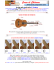 Guida agli studi della 3ª Pagina Come è fatta la Chitarra