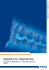 Registrado X-tra · Registrado Clear