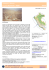 Sostegno a distanza Progetto HUAYCAN – PERU` 2PEAN