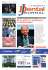 Italian Dental Journal 1