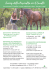 Training della Personalità con il Cavallo