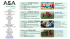ASA_Football_Clinic (177 Downloads)