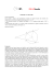 QUI il documento PDF con le risposte
