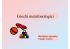 Giochi metafonologici