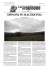 spinoni in macedonia - giornale dello spinone