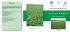 Depliant illustrativo - regione campania