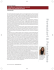 Scarica il PDF