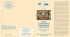2016 h. 11_26 B01383 CAM CONGRESSO "Vivere la Sclerosi