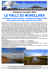 programma completo