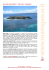 Nosy Saba Island Resort | Hotel per il soggirono mare