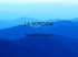LA SORDITA`