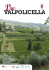 dettagli - Valpolicella Web
