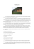 Handycamp - C.A.S. Ronchi