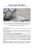 03_2015-07-03_Il lato oscuro del