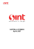 Presentazione SINT