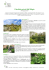 Giardini privati del Belgio