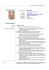 curriculum vitae