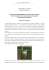 Relazione illustrativa