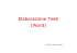 Elaborazione Testi (Word)