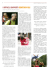 Leggi l`editoriale di Lucia Bianco