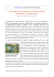 apri pdf - Raccontareancora