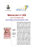 MemoLibri 428