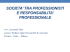 societa` tra professionisti e responsabilita` professionale